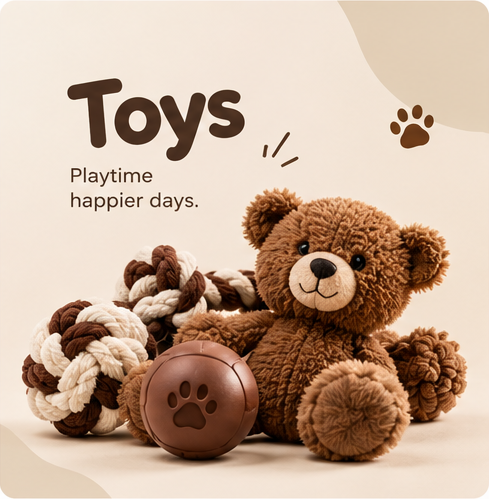 TOYS