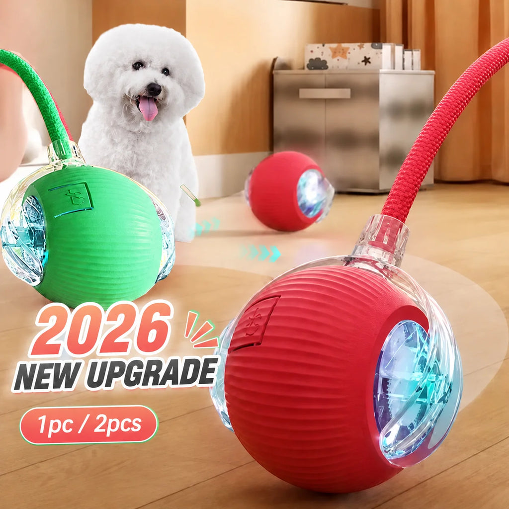 Zoomie Interactive Rolling Ball