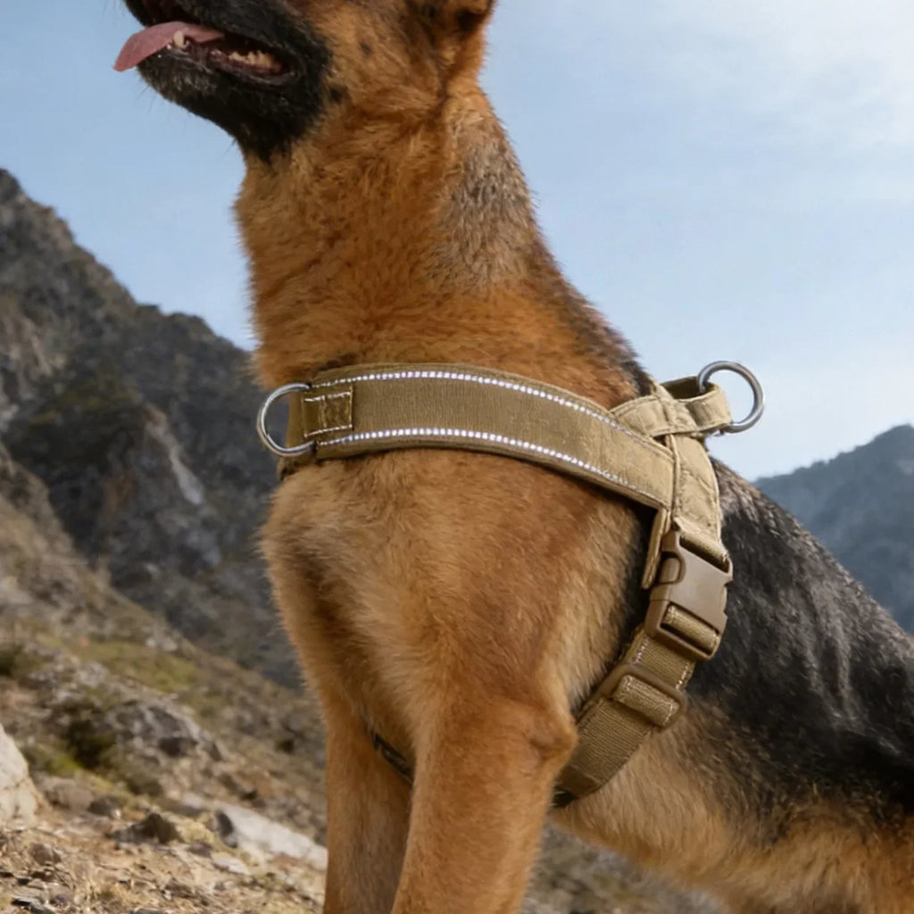 Adventure No-Pull Dog Harness