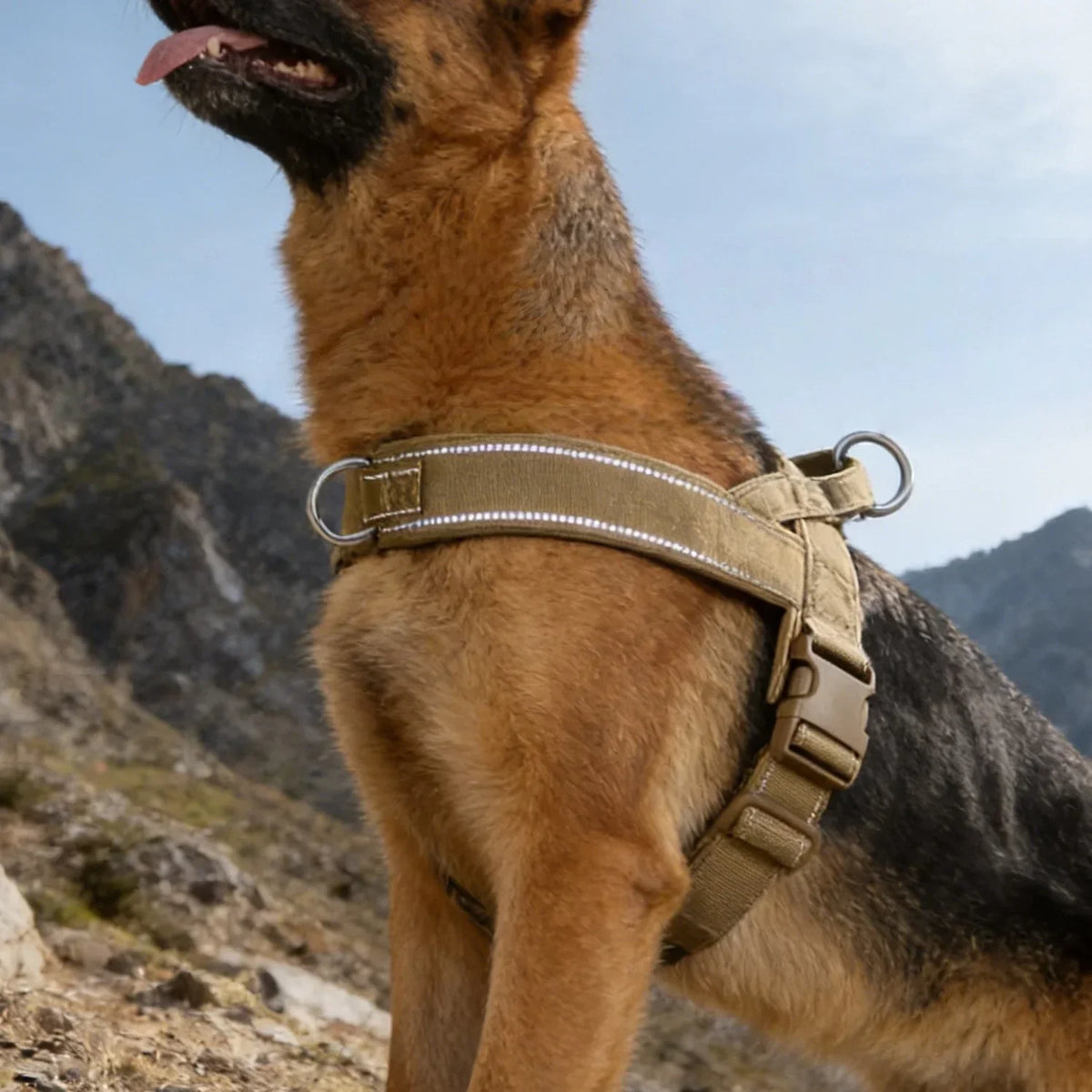 Adventure No-Pull Dog Harness