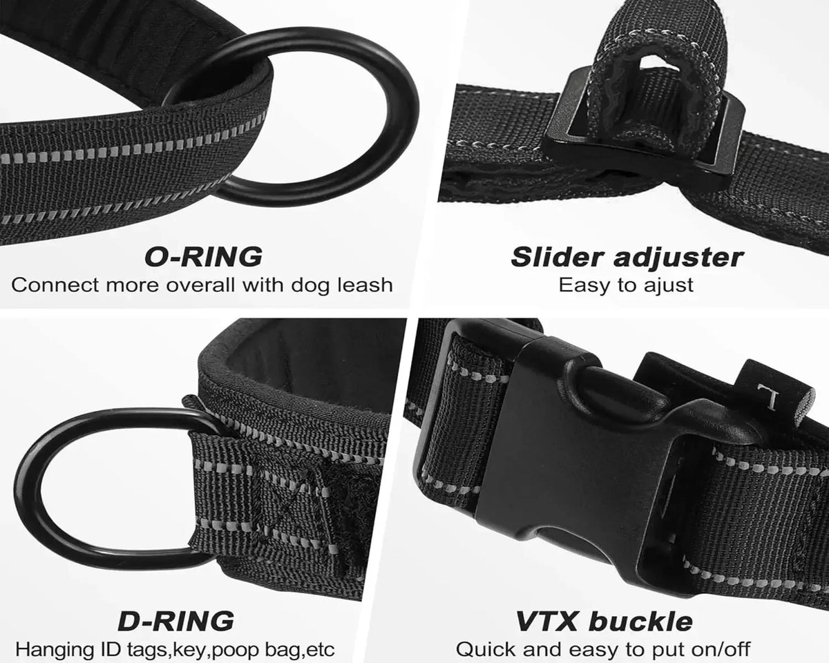 Adventure No-Pull Dog Harness