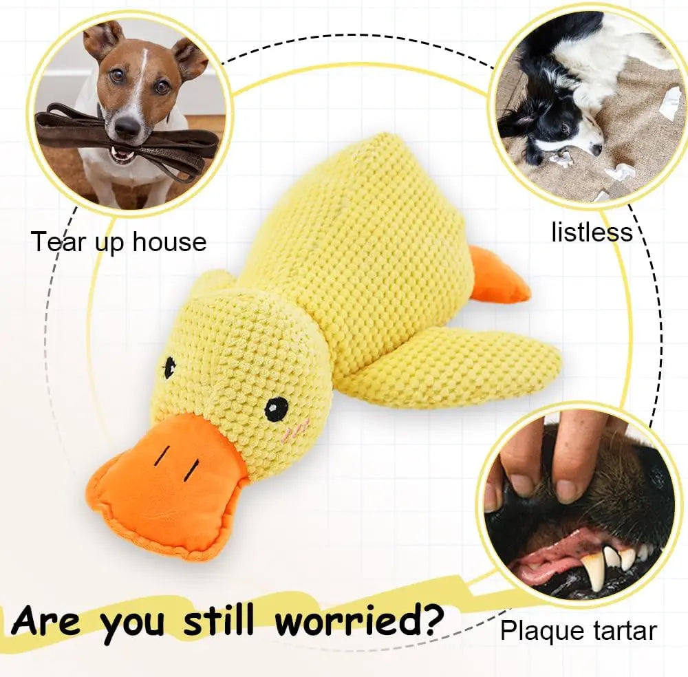 Quackers Plush Squeaky Duck