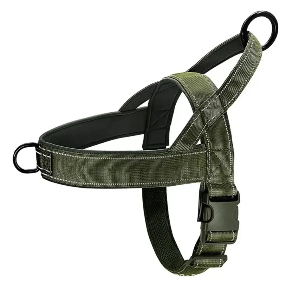 Adventure No-Pull Dog Harness