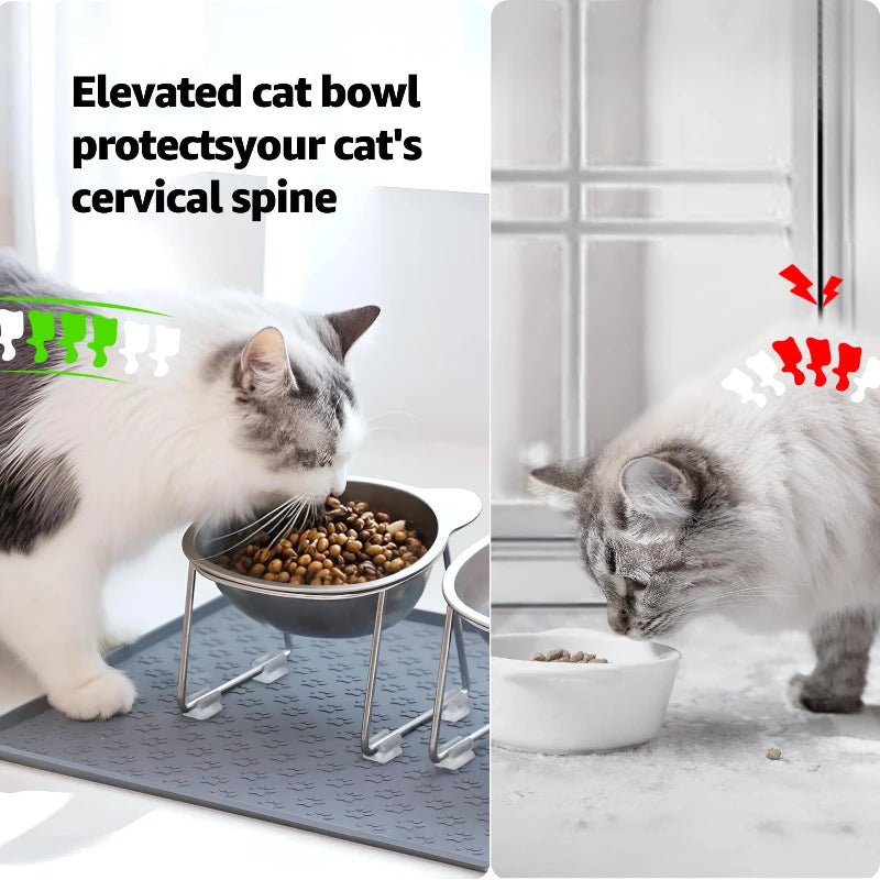 Elevated Comfort Cat Bowl