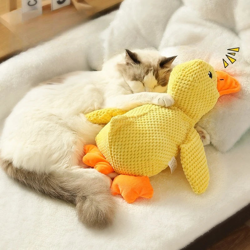 Quackers Plush Squeaky Duck