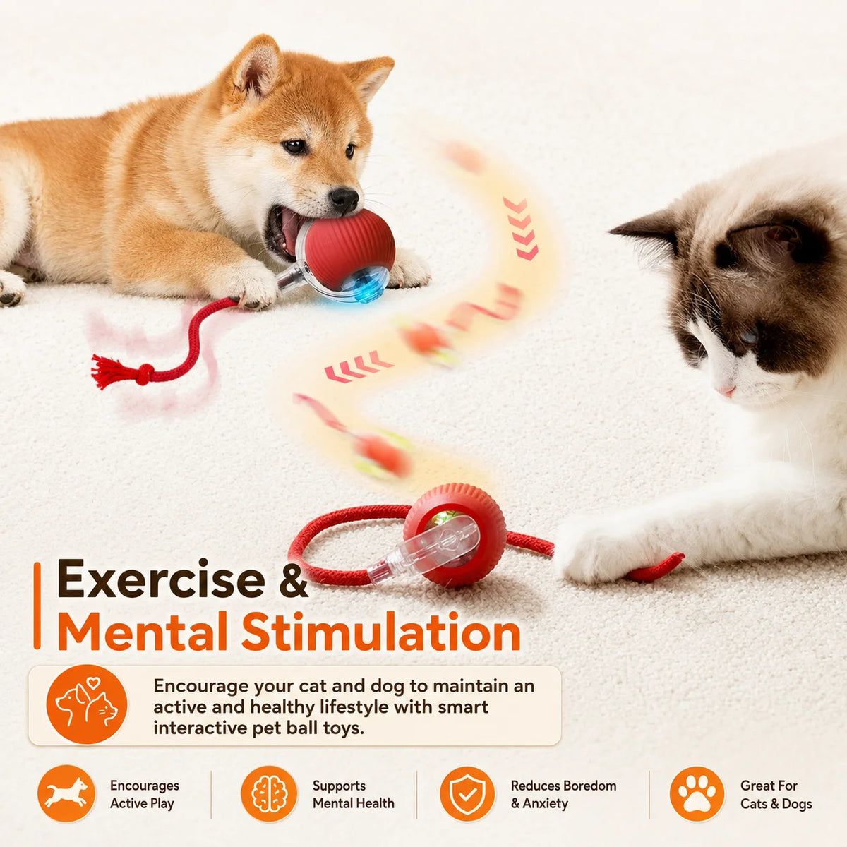 Zoomie Interactive Rolling Ball